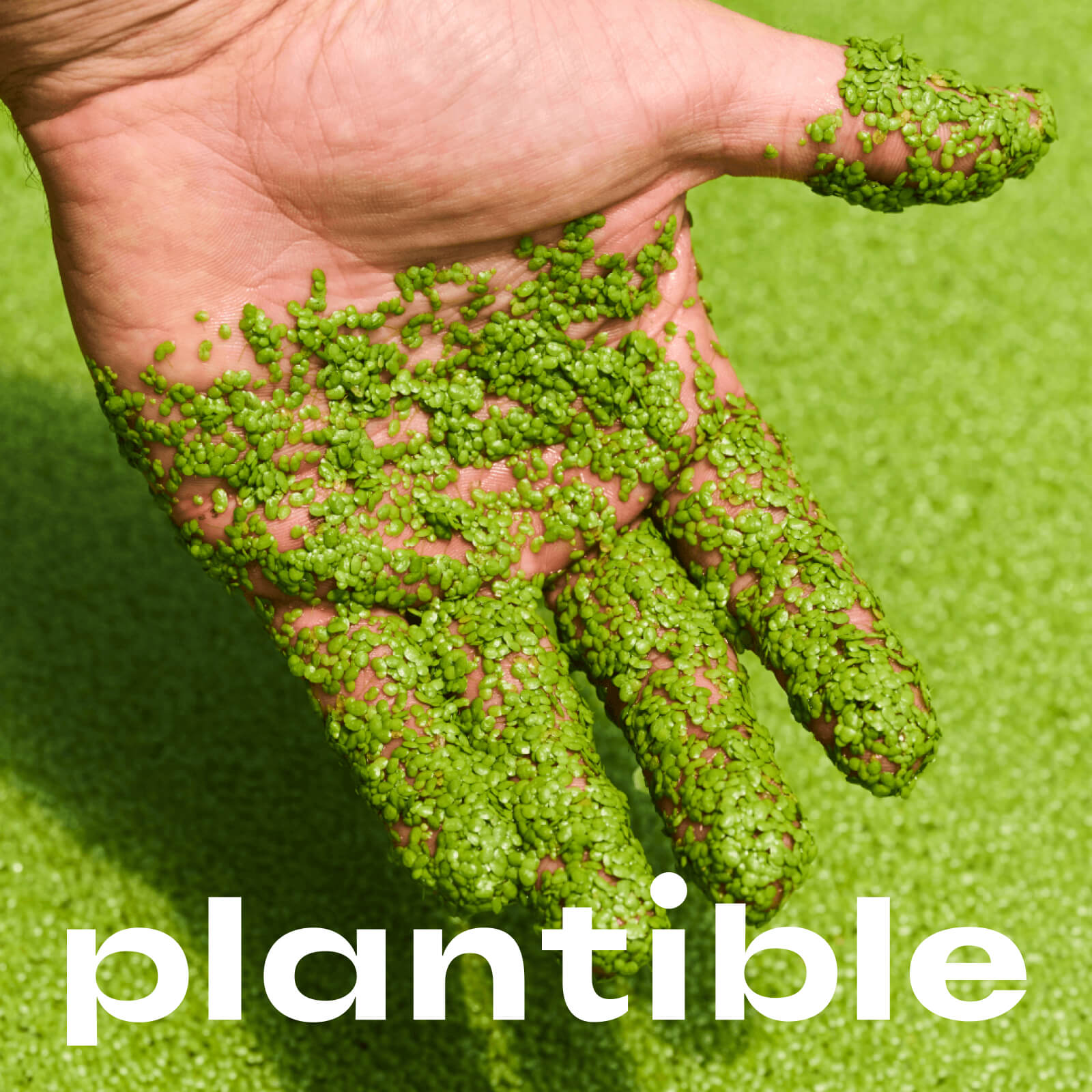 We Met Before x Plantible Foods